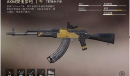 和平精英新枪械爆料最新,神秘性能引发玩家热议