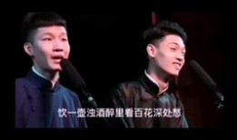 二哥老秦爆料视频播放在线观看,独家内容在线观看，揭秘幕后真相