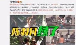 黄子诚爆料视频大全集播放,揭秘娱乐圈幕后真相
